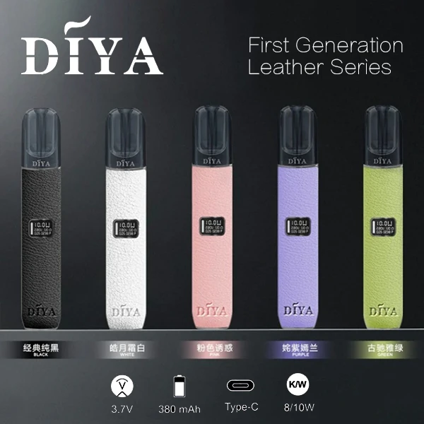DIYA叮啞皮革系列一代主機